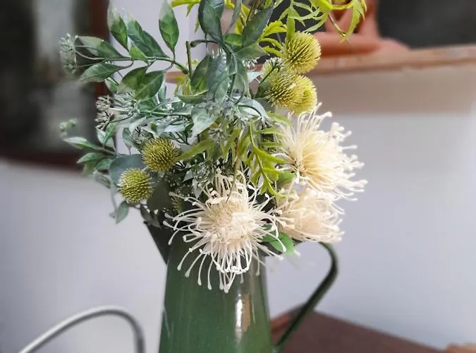 Tiny Closerie * Bouillon